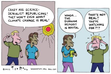 Durham Report, misinformation