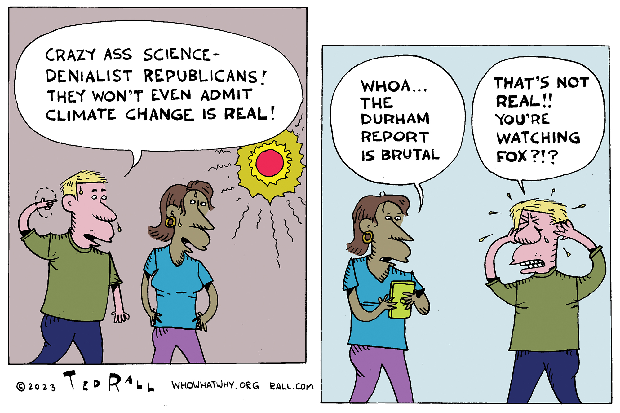 Durham Report, misinformation