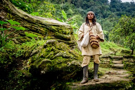Koguis shaman, Ciudad Perdida