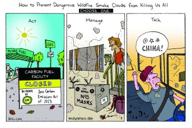 Canadian wildfires, air pollution
