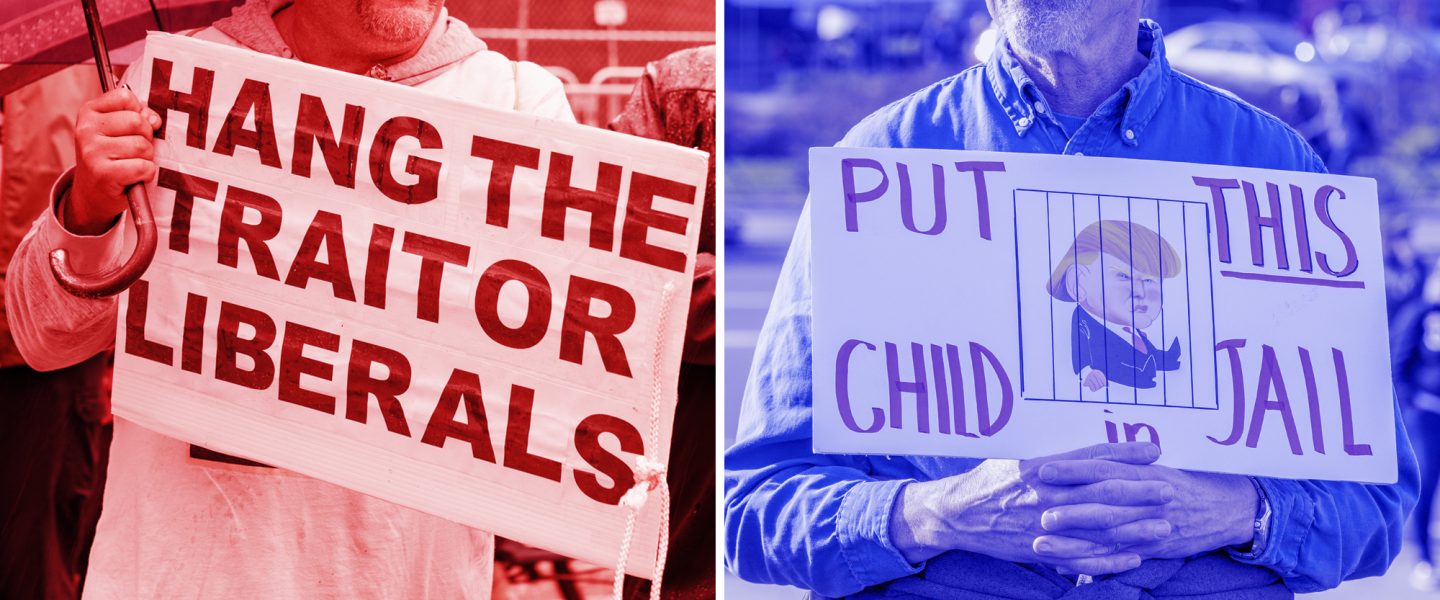 Right wing, left wing, protestors
