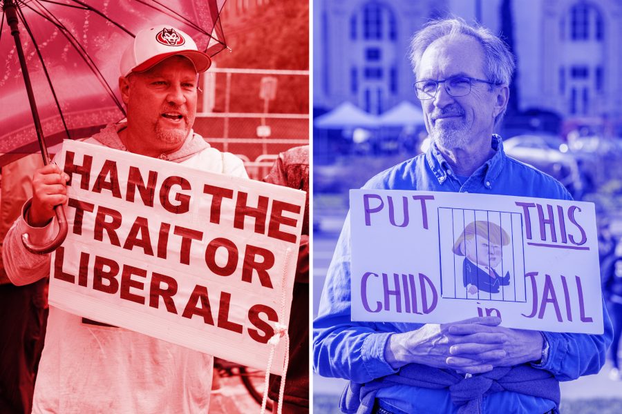 Right wing, left wing, protestors