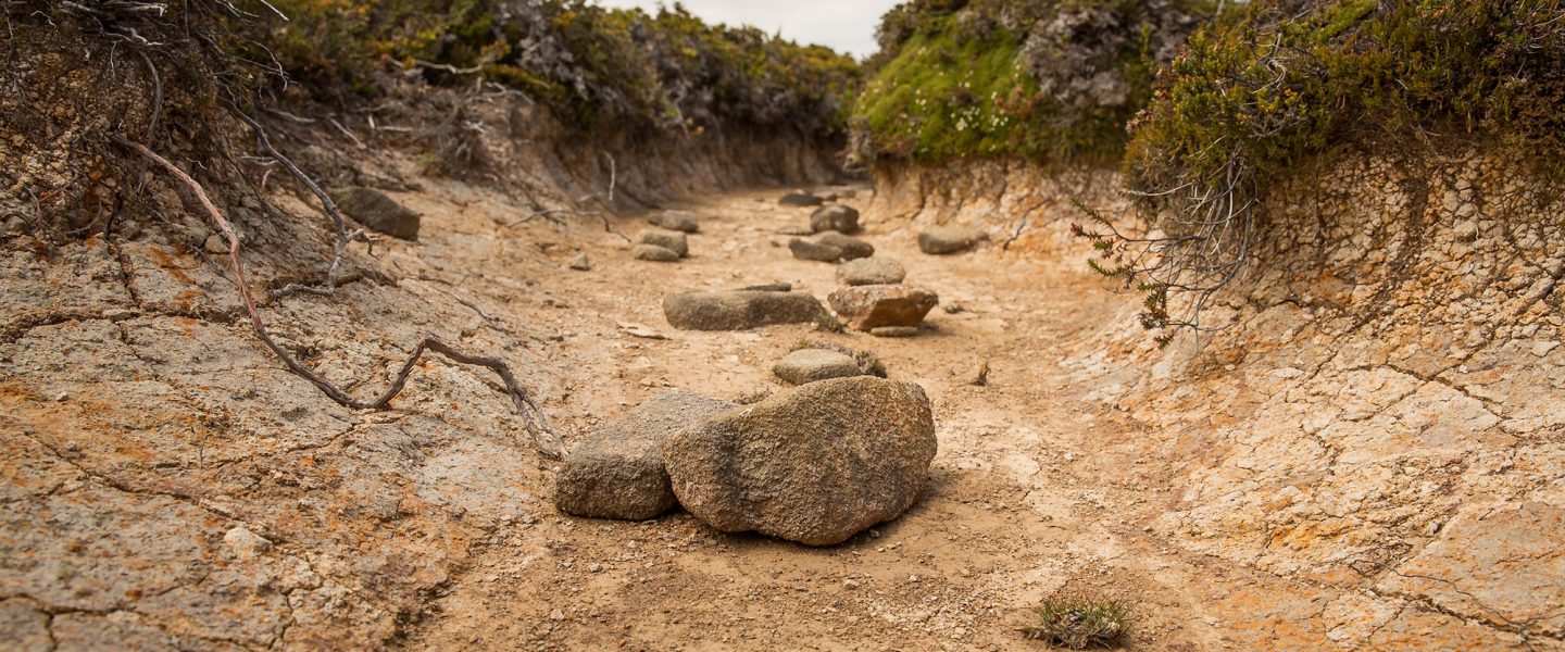 dry creek bed, Hartz Mountains