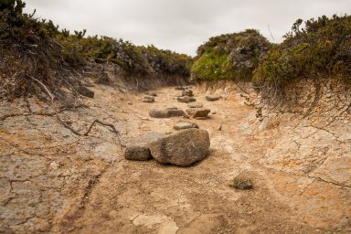 dry creek bed, Hartz Mountains