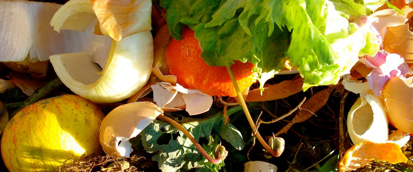 climate change, environment, composting, NYC, Eric Adams, new law