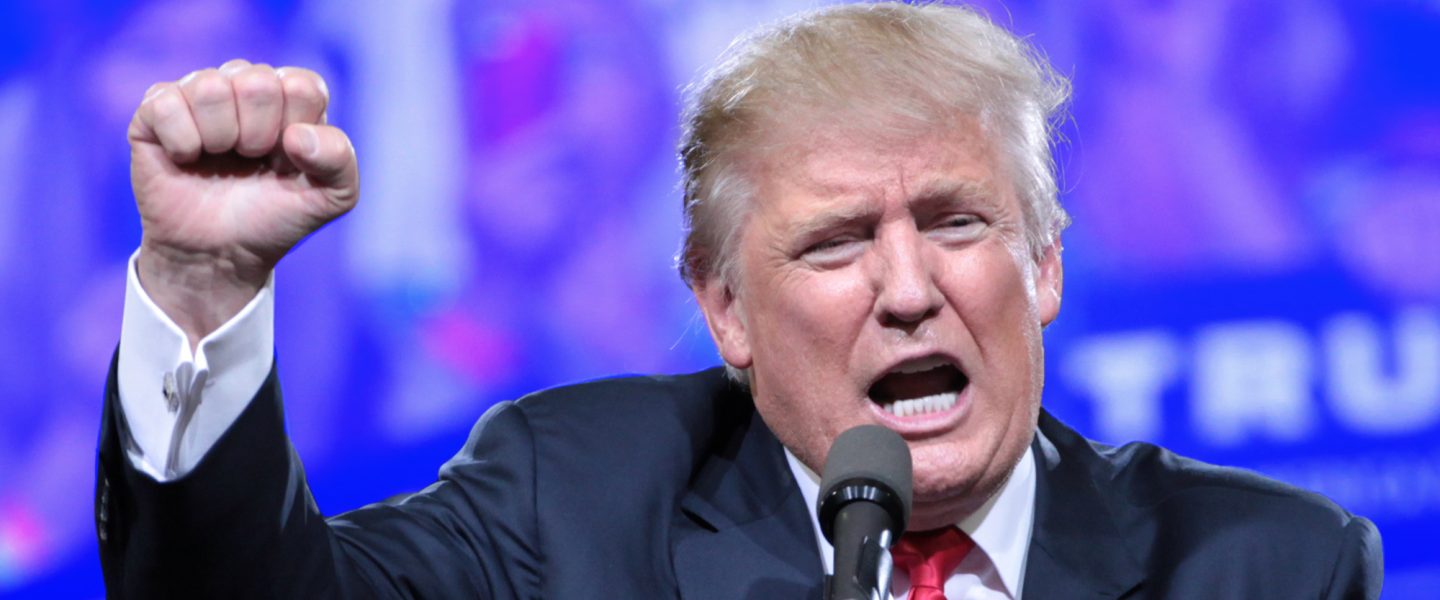Donald Trump, fist raised
