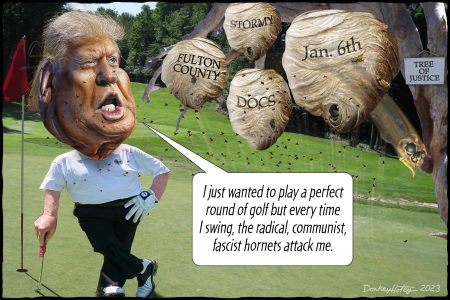 Donald Trump, stirring the hornet’s nest