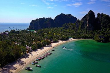 ecology, flora, biodiversity, forests, tropical trees, social distancing
