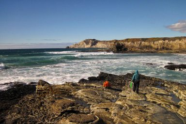 environment, science, nature, marine life, California, sanctuary plan