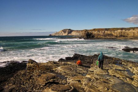 environment, science, nature, marine life, California, sanctuary plan