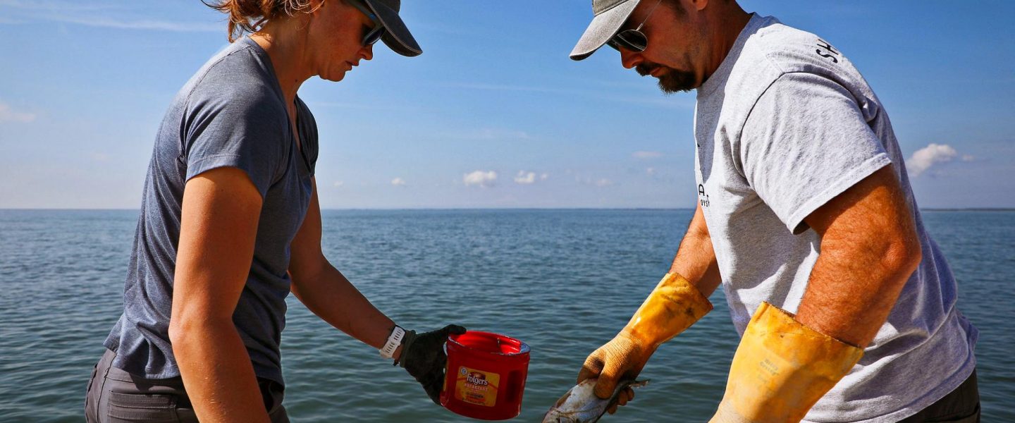 climate crisis, record-breaking storms, flooding, coastal erosion, oyster reef restoration