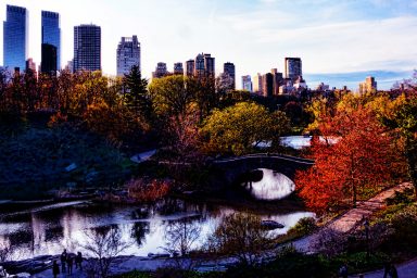 science, greenspace, neighborhoods, human cells, aging, research