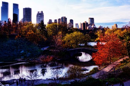 science, greenspace, neighborhoods, human cells, aging, research