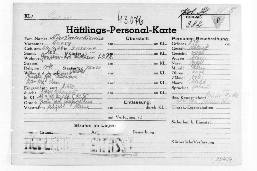 IBM, Hollerith, punch card