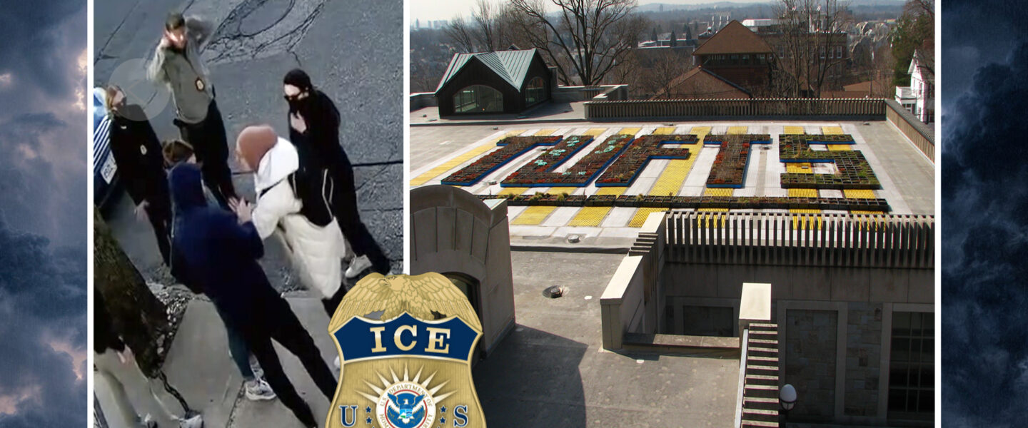Rumeysa Ozturk, arrest, Tufts University