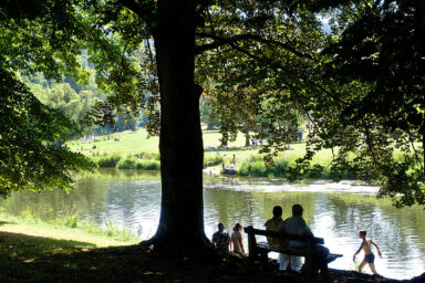 climate crisis, global warming, weather extremes, heatwaves, mixed woodlands, new study