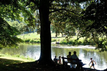 climate crisis, global warming, weather extremes, heatwaves, mixed woodlands, new study