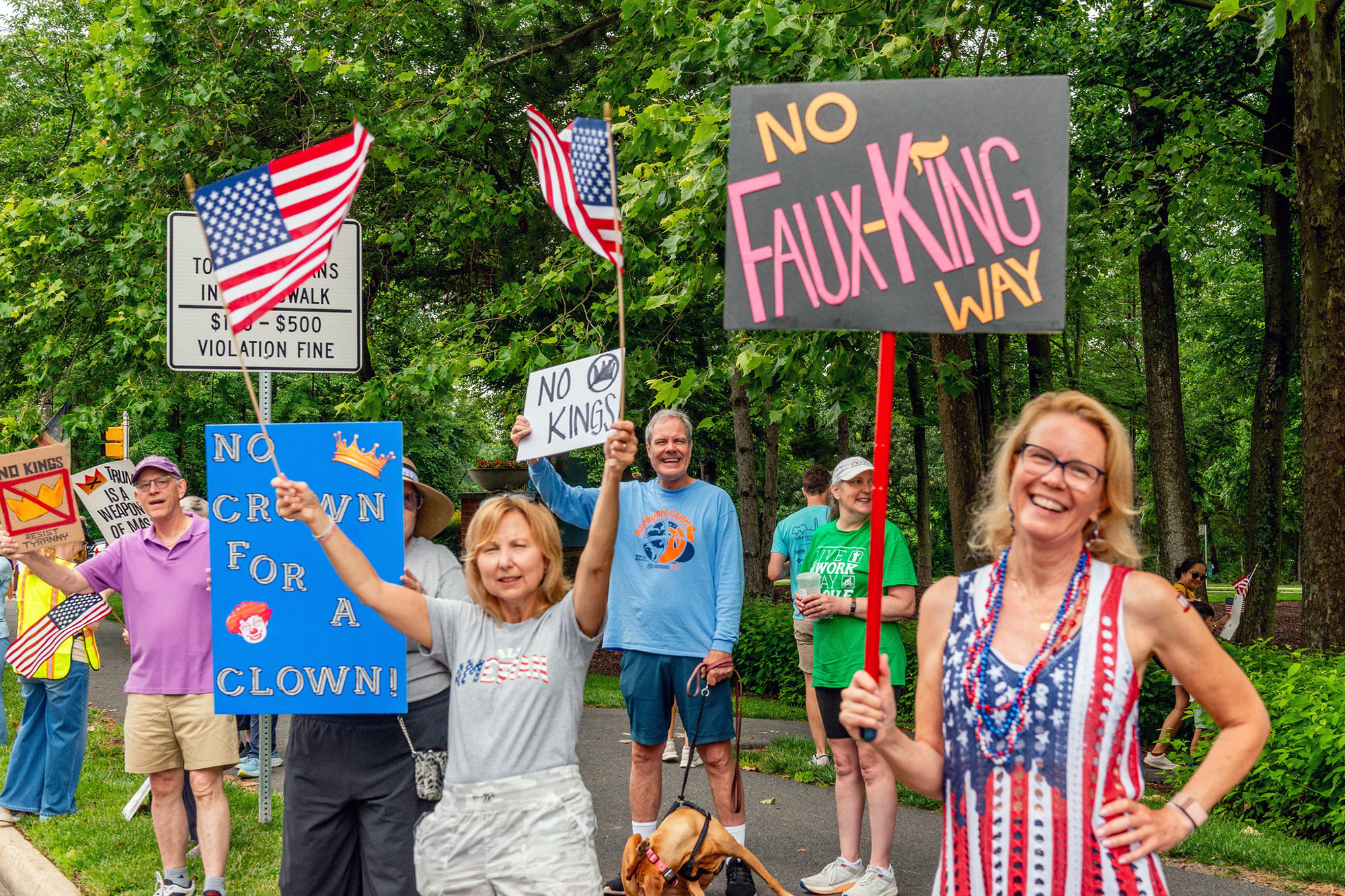 No Kings Protest, Reston, VA