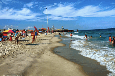 science, oceans, marine life, artificial reefs, Jersey Shore, barge, fish paradise