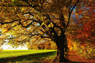 science, Earth, nature, equator, seasons, autumnal equinox