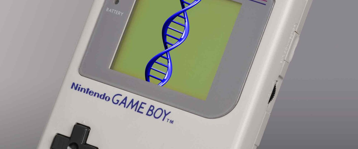 Nintendo, Game Boy,