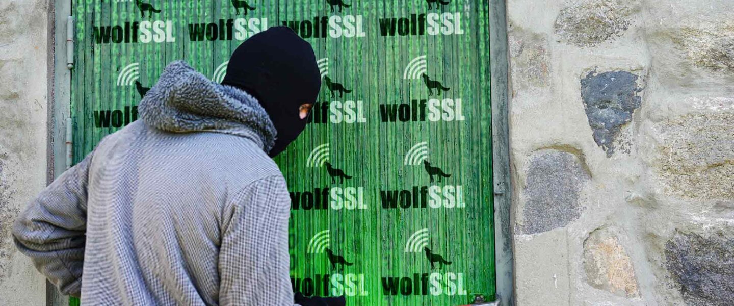 WolfSSL breakin, cyber security, encryption