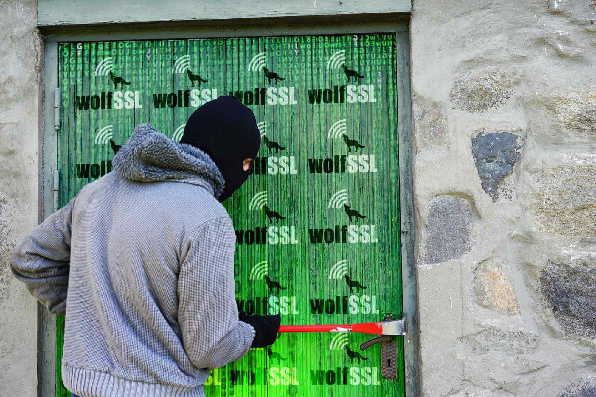 WolfSSL breakin, cyber security, encryption