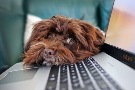 tech, cybersecurity, Microsoft, PCs, Windows 11 update, reboots, certificates