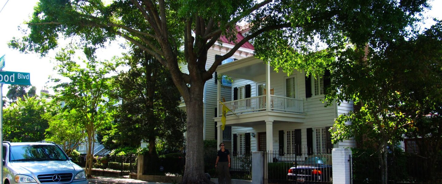 climate crisis, global warming, cities, heat islands, health Risks, urban trees, catch