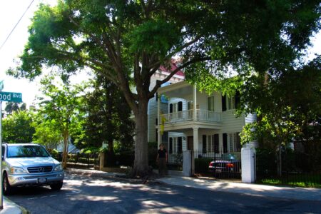 climate crisis, global warming, cities, heat islands, health Risks, urban trees, catch