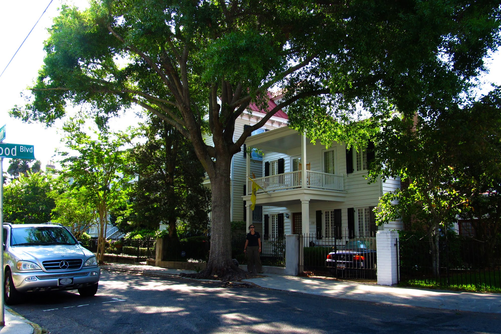 climate crisis, global warming, cities, heat islands, health Risks, urban trees, catch