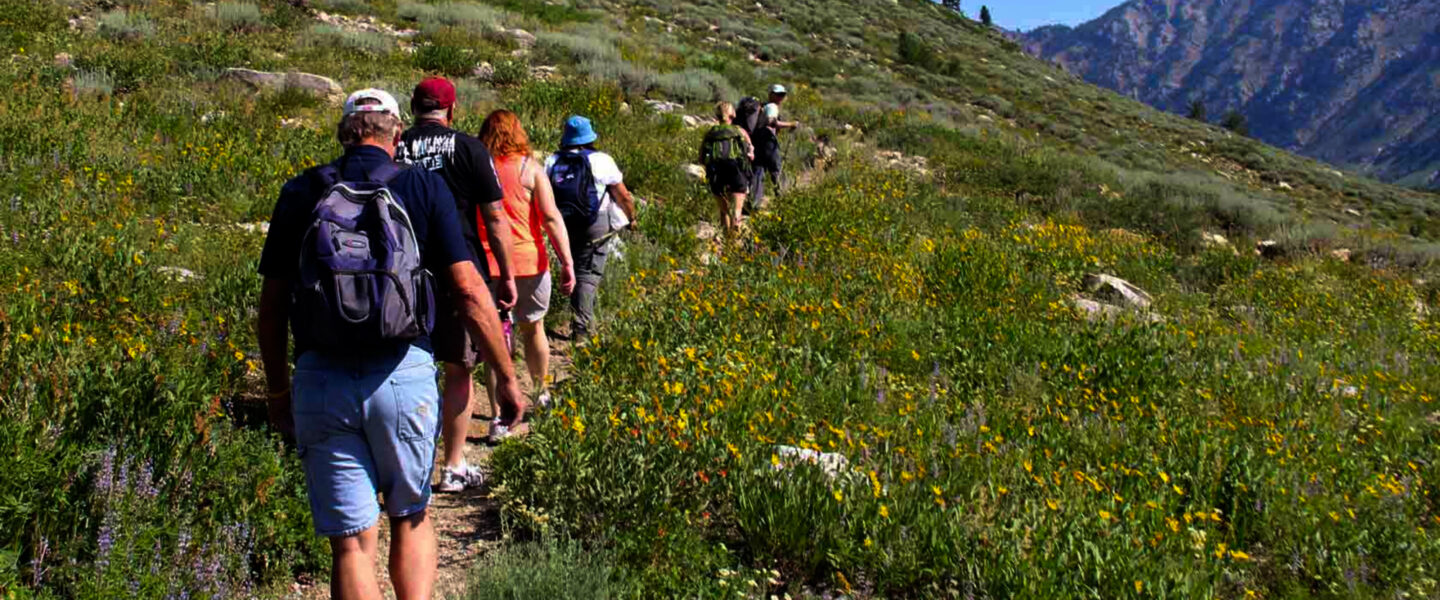 Conservation, U.S. cultural resource protection, Public Lands Rule rollback, management, mining and development